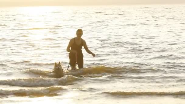 Szibériai husky kutya a strandon játék nő
