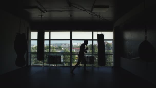 Silhouette of a boxer in the hall — Stock Video