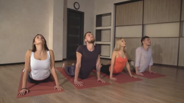 Fitness grup Kobra poz yoga sınıf satırı yapıyor — Stok video
