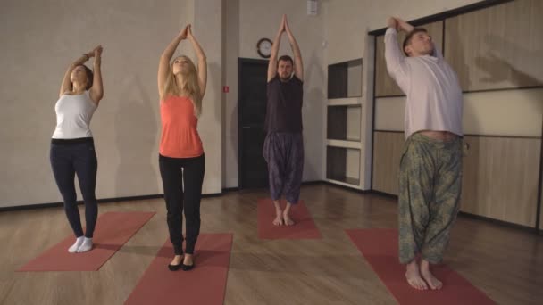 Groep mensen die yoga exersice — Stockvideo