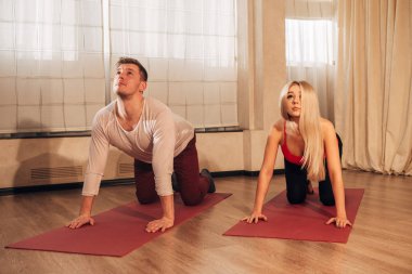 yoga yaparken kadın ve genç erkek kedi egzersiz