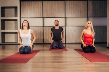 bir grup insan yoga exersice yapma