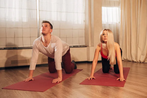 Joven hombre y mujer haciendo yoga ejercicio gato — Foto de Stock