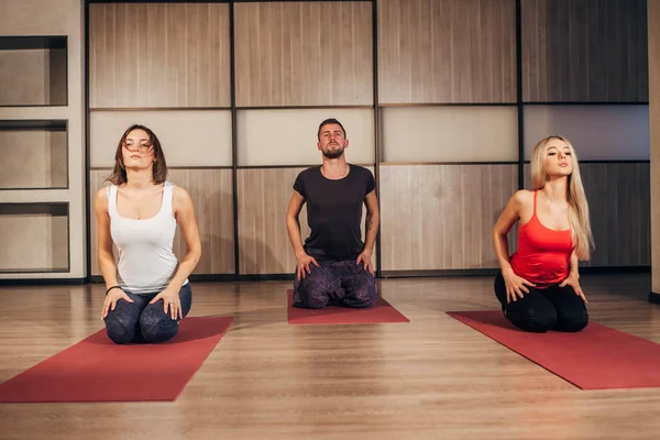 Grupo de personas haciendo yoga exersice — Foto de Stock