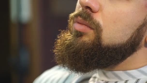 Grooming stylish beard in Barbershop — Stock Video