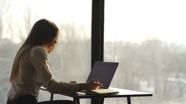Bela mulher de negócios trabalhando no laptop no escritório — Vídeo de Stock