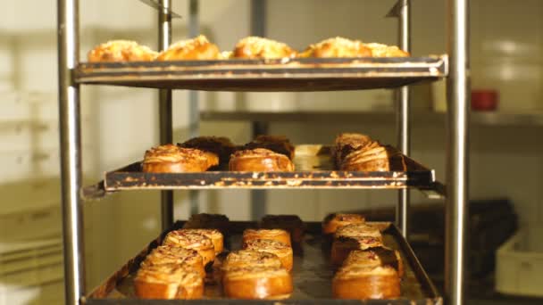 Baking tray with cinnamon buns — Stock Video