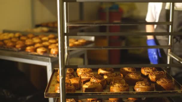 Baking tray with cinnamon buns — Stock Video