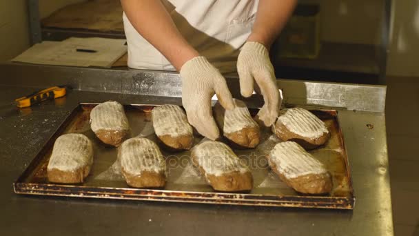 Probando masa de salvado en canasta. Panadería privada. Producción de pan . — Vídeos de Stock