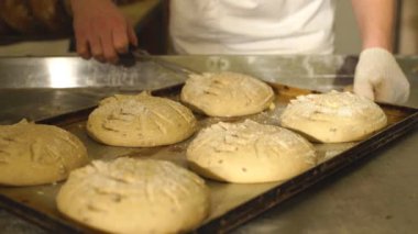 dos toros decoradas al estilo tradicional para un festival en las carreteras indias. centrarse en la cabeza en uno de los toros.