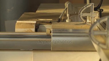 İnsan marangoz, kendi atölyesinde öğütme makinesinin yanında bir odun parçası öğütür.