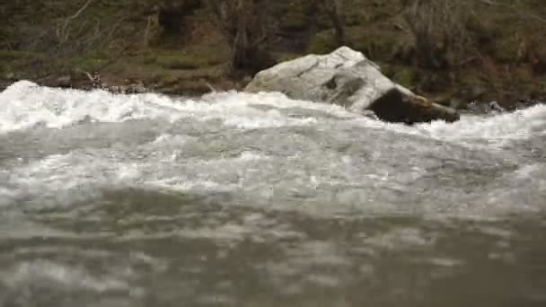 Zomer landschap met rivier en de berg sneeuw. piek Sjchara zemo svaneti, Georgië. de belangrijkste Kaukasische ridge — Stockvideo