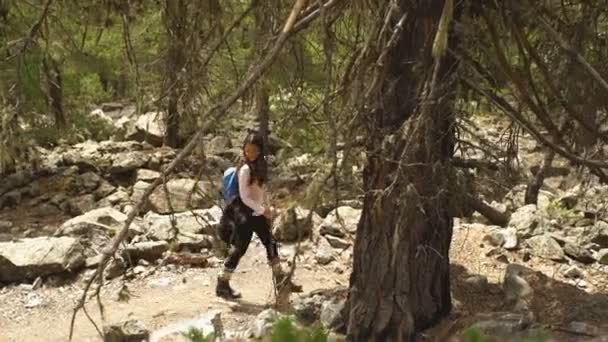 A csoport az utazók megy a hegyekbe, Grúzia — Stock videók