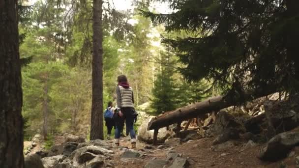 Eine Gruppe von Reisenden, die durch die Berge reisen — Stockvideo