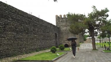 şemsiye ile genç kadın ile köpek yürüyor