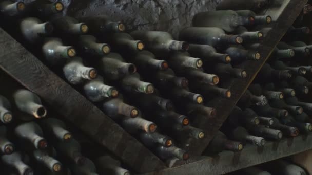 Wine bottles in wine cellar — Stock Video