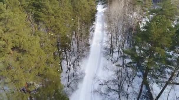 Стрілянина в лісі безпілотником, стрілянина з повітря — стокове відео
