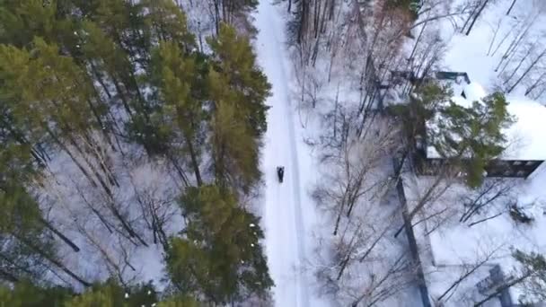 Motorschlitten fahren durch eine verschneite Straße im Wald — Stockvideo