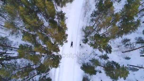 Luftaufnahme des schneebedeckten Winterwaldes. Drohnenfotografie — Stockvideo