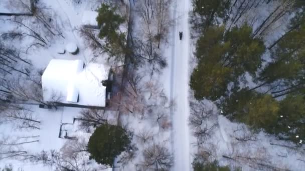 Skuter jeździ przez zaśnieżonej drodze w lesie — Wideo stockowe