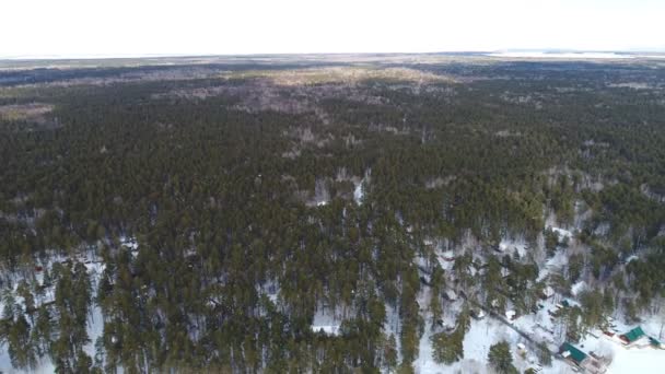 Disparando al bosque con un dron — Vídeo de stock