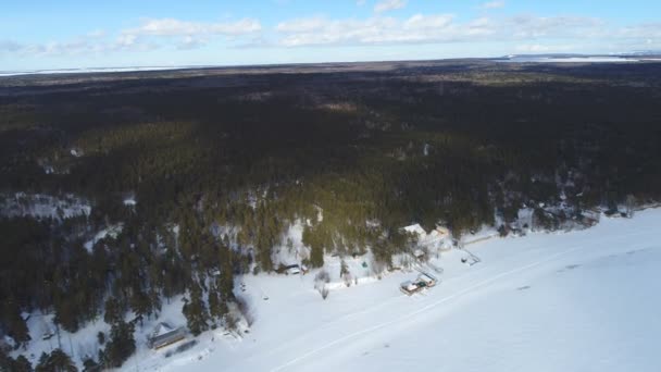 Disparando al bosque con un dron — Vídeos de Stock