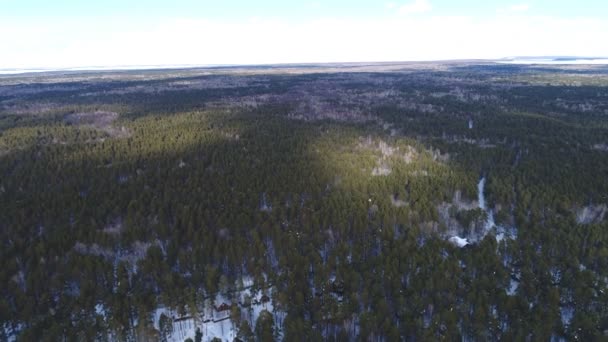 Disparando al bosque con un dron — Vídeos de Stock