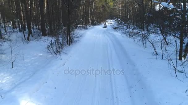 Ένας άντρας σε ένα snowmobile στο δάσος. Χειμερινά σπορ και ψυχαγωγία. — Αρχείο Βίντεο