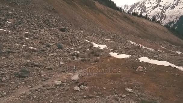 Γυναίκα ταξιδιώτη με ένα σκύλο που τρέχει γύρω στα βουνά, ένας παγετώνας, που πυροβολήθηκε από τον αέρα — Αρχείο Βίντεο