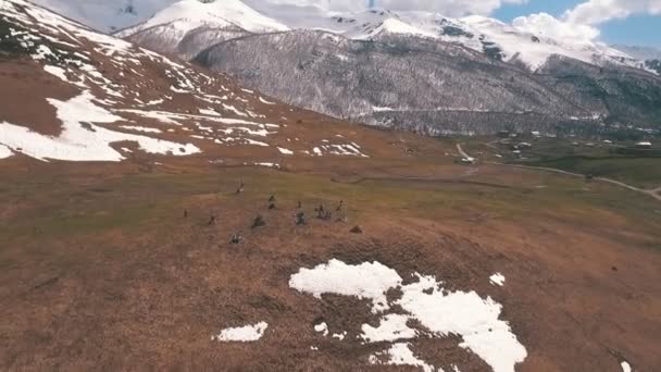 A group of tourists sits on a mountain and looking at the glacier — Stock Video