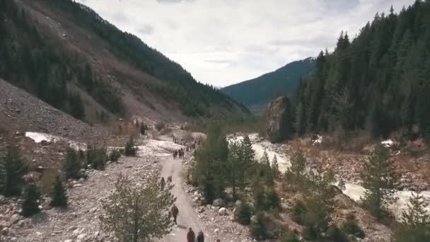 De groep van reizigers wandelen langs een bergweg — Stockvideo