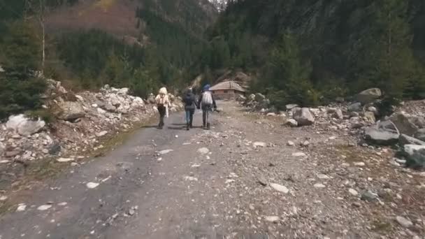 Die Gruppe von Reisenden, die entlang einer Gebirgsstraße spazieren — Stockvideo