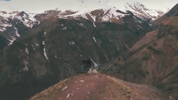 Η γυναίκα να στέκεται στην άκρη του βουνού, ο άνεμος — Αρχείο Βίντεο