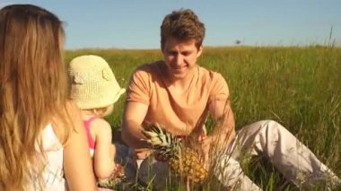 Baba kadar ananas kesme piknik