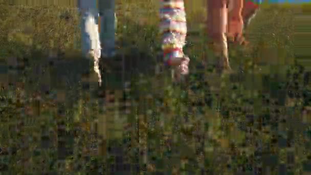 Schöne junge Familie läuft entlang der Klippe auf dem Hintergrund des Flusses und der Sonne — Stockvideo