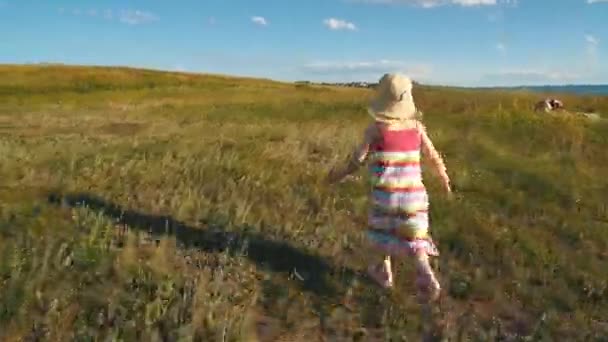 Маленькая девочка, гуляющая на природе и наслаждающаяся видом на побережье, поле травы перьев и заходящее солнце — стоковое видео