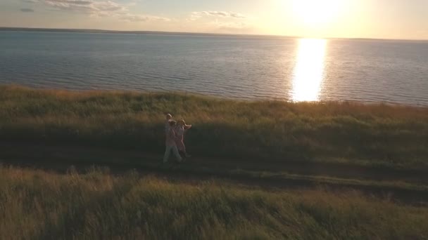 Glückliche Familie läuft auf dem Feld und schießt aus der Luft — Stockvideo