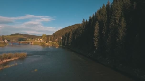 Luchtfoto van een hoogte op de rivier in de buurt van het bos — Stockvideo