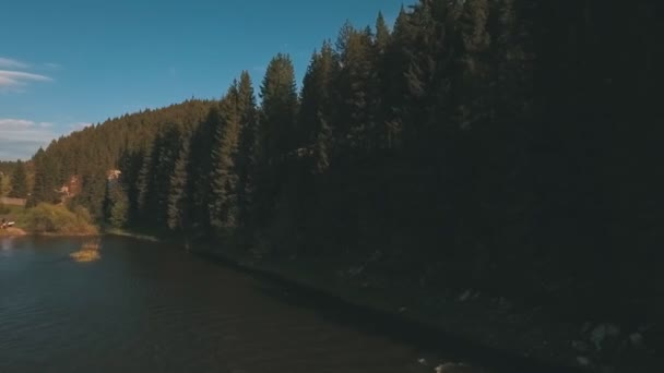 Vista aérea desde una altura en el río cerca del bosque — Vídeos de Stock