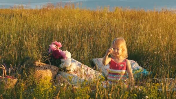Mała dziewczynka siedzi w polu na kocu — Wideo stockowe