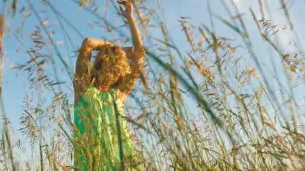 Hermosa joven camina en un vestido ligero en el campo entre las orejas — Vídeos de Stock