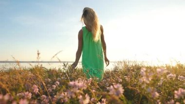 Genç sarışın kadın alanında yürüyüş ve kır çiçekleri akşamları toplama.