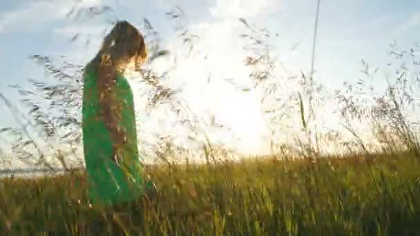 Schöne junge Frau geht in einem hellen Kleid auf dem Feld zwischen den Ohren — Stockvideo