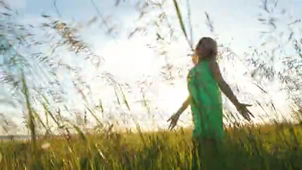 Hermosa joven camina en un vestido ligero en el campo entre las orejas — Vídeo de stock