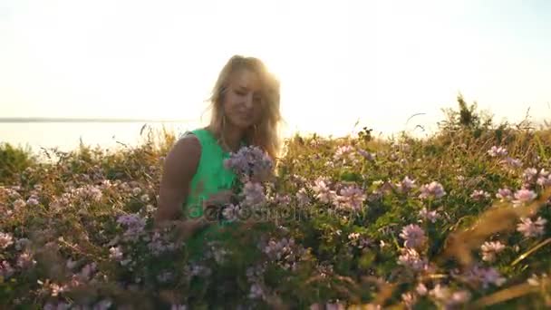 Hermosa rubia recoge flores en un campo — Vídeo de stock