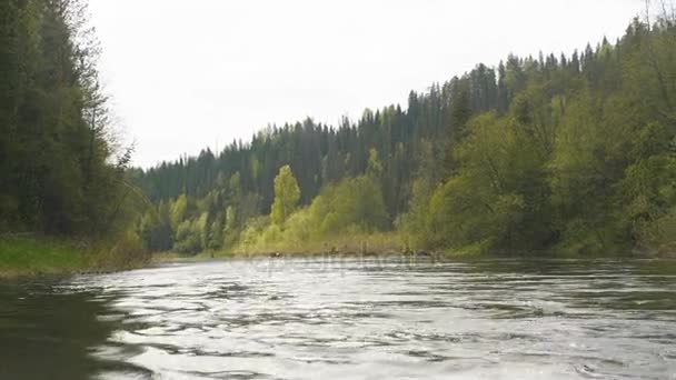 Rafting a folyón — Stock videók