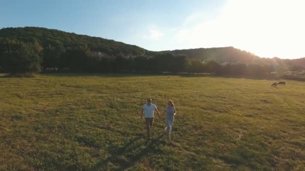 Tiro aereo, una giovane coppia innamorata che corre per il campo tenendosi per mano — Video Stock
