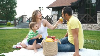 mutlu genç aile Çimlerde piknik