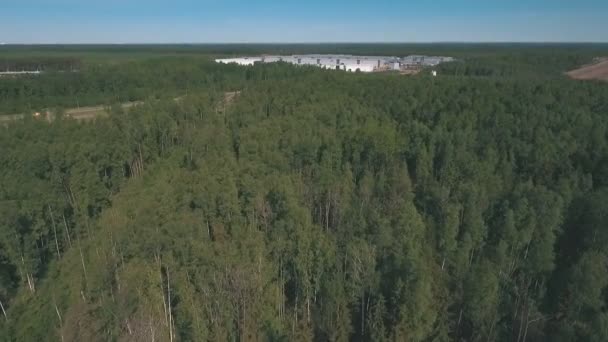 Uitzicht vanuit de lucht op het bos — Stockvideo