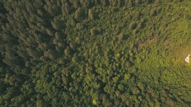 Luchtfoto uitzicht op bergen in de Russische rivier op de achtergrond — Stockvideo